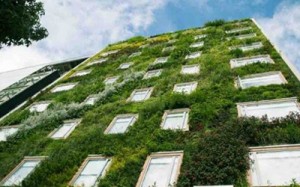 edificios-verdes